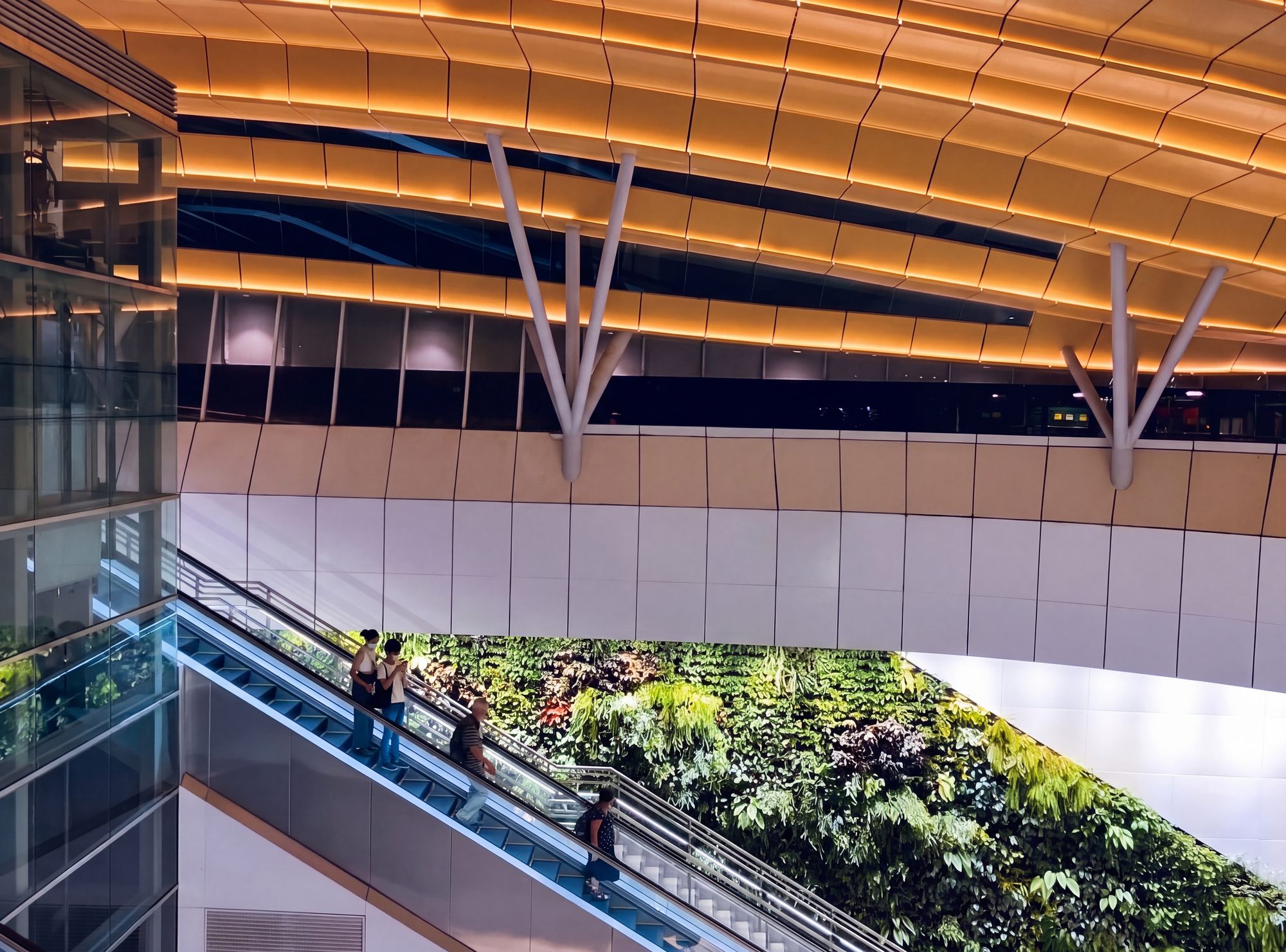 Escalators beneath the lit, ribbed canopy beside a green wall